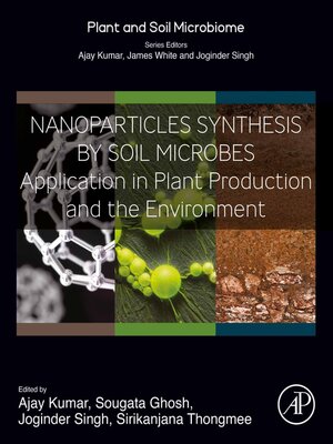 cover image of Nanoparticles Synthesis by Soil Microbes